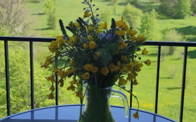 Sunny apartment in Kechi House, Tsaghkadzor