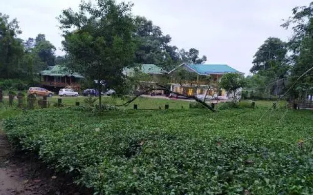Homocation Kadambini Jungle Resort