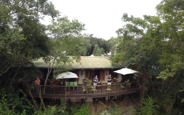 Old Joe's Kaia
