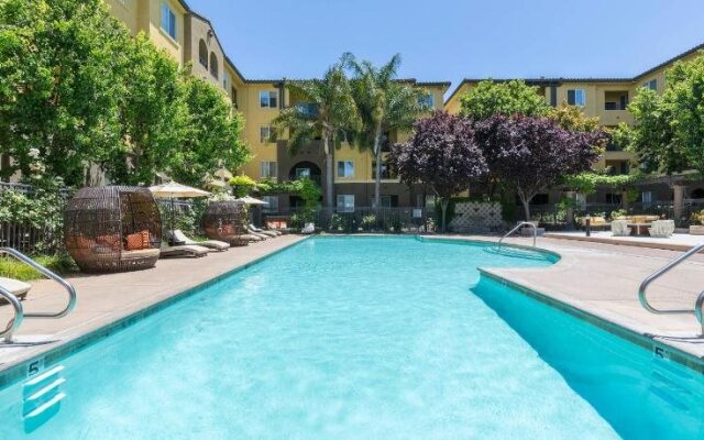 Synergy River Terrace