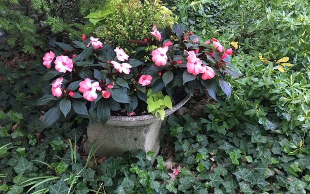 Schoolmaster's House Bed and Breakfast