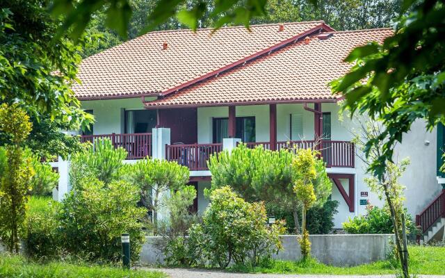 Comfortable apartment with terrace surrounded by pine trees