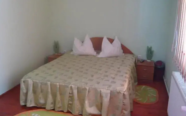Vila David