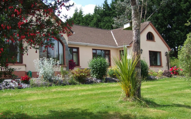 O'Sheas Ceol Na Habhann B&B