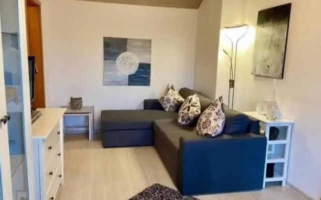 Apartments Wyk auf Föhr - Wohnung Storchennest