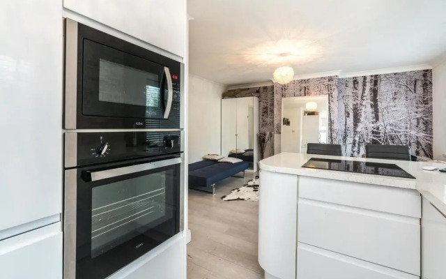 NEW Sleek Light Filled 2 Bedroom Flat With Garden