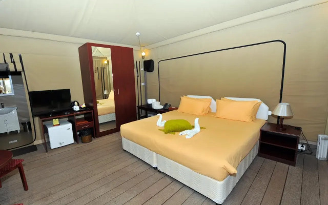 Ras Al Jinz Turtle Reserve