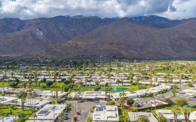 Canyon Palm in Palm Springs