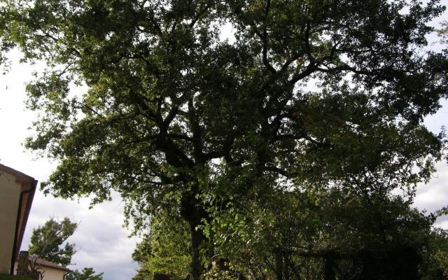 Agriturismo La Meria