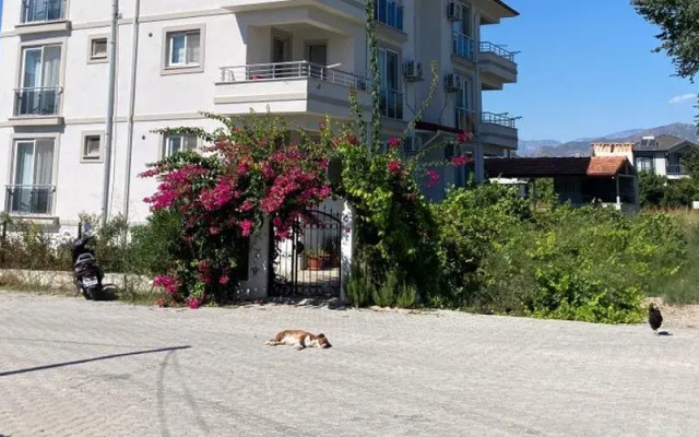 Dalaman Apart Pansiyon