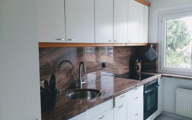 Alpine Apartment