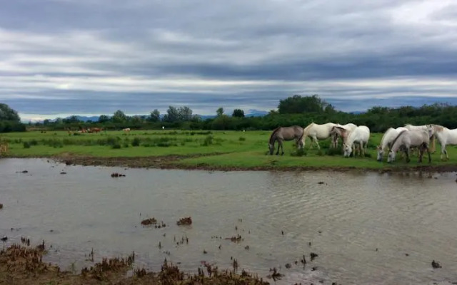 Riserva Naturale Foce dellIsonzo