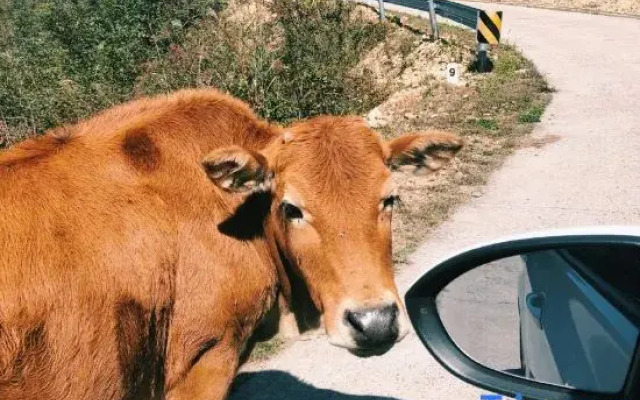 Yungu Shanfang Hostel