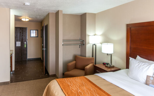 Comfort Inn Albuquerque Airport