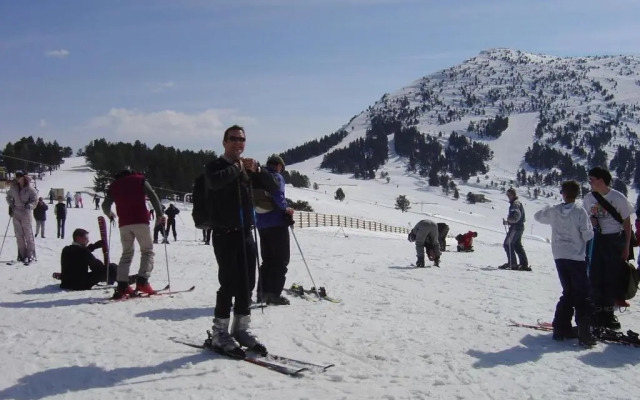 Les Feiches et Marguerites