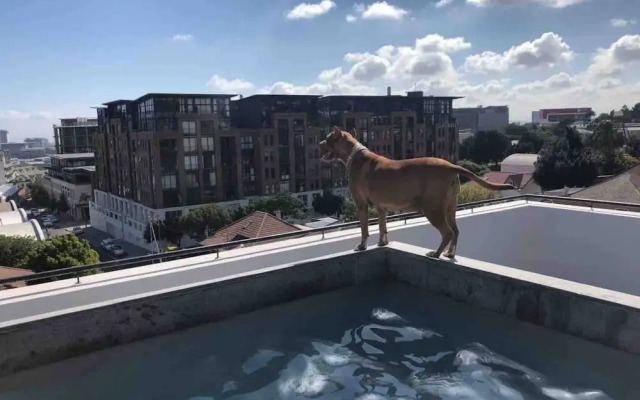 Stylish 2 Bedroom Luxury Apartment In Gardens