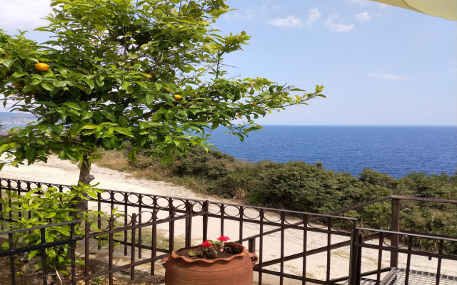 Zennova #3 Mount Athos & Sea View