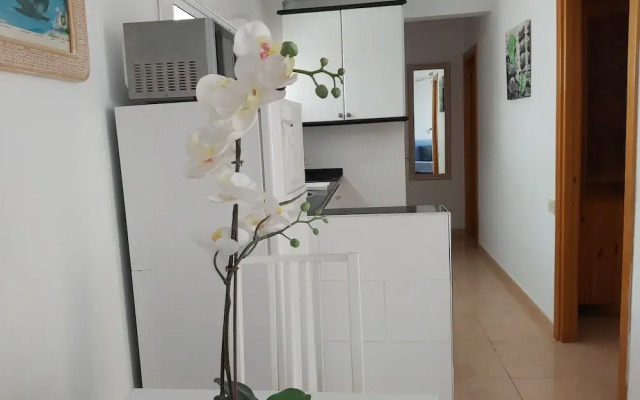 Flipper Top Suites
