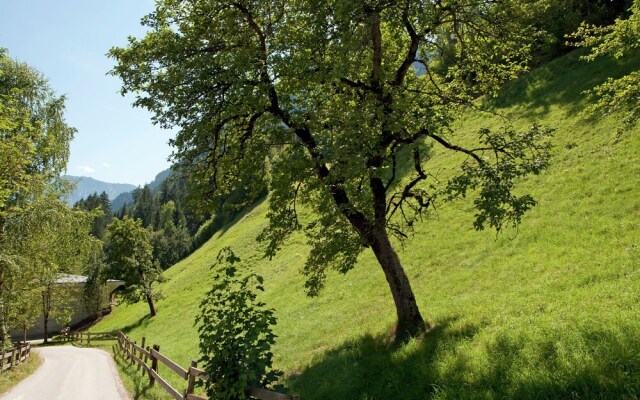 Plush Farmhouse in Ramsau im Zillertal near Ski Area