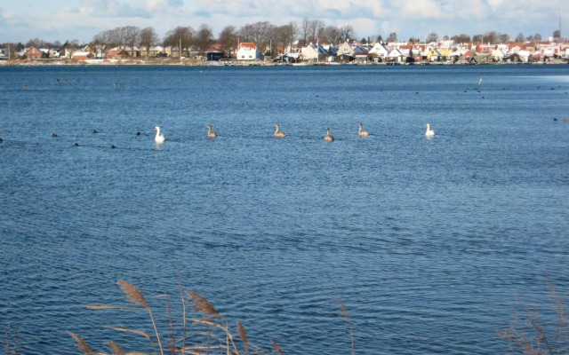 Kerteminde-ferielejlighed