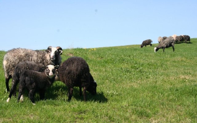 Agroferma Tochka Otdykha