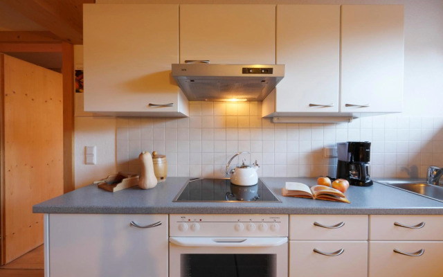 Chalet Appartement Zingerlehof Trens