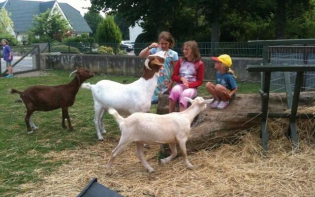 Ferienhof Alte Mühle - Mühle 4