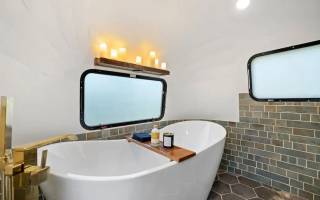 Royal Fern in Pisgah Forest