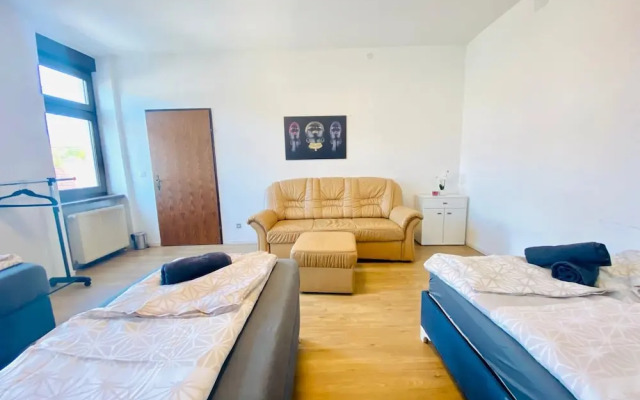 Spacious 4BR for 15 & 15 Min to Danube