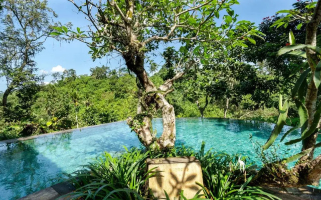 Natura Resort and Spa