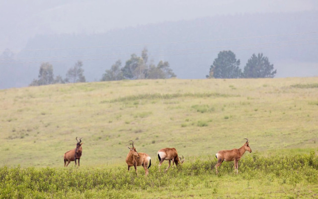 Stonehaven Lodge and Conference Center