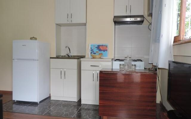 Guest House Dolidze