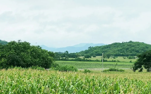 Jardin Residence Pakchong