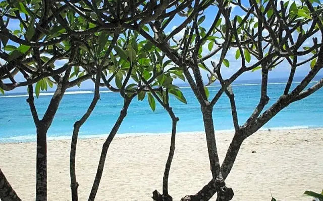 Yogi Beach Bungalow & Restaurant Lembongan