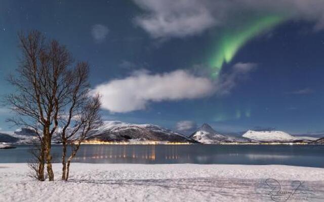 Fjordbotn camping