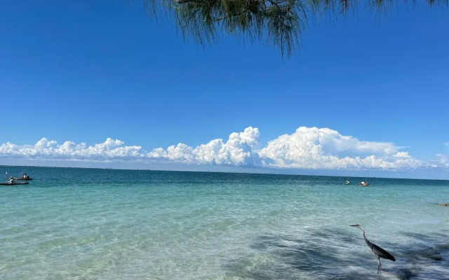 Anna Maria Beach Serenity