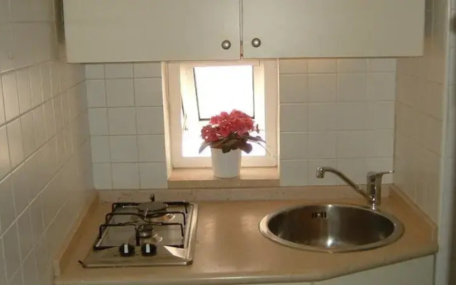 Red Flowers House