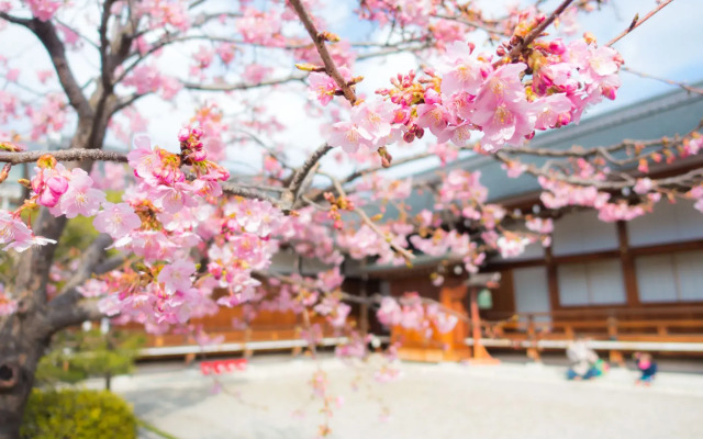 Stay SAKURA Kyoto Nijo Castle West I