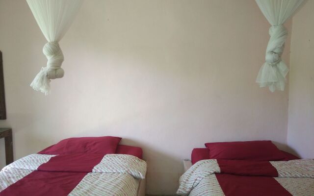 Pai Park Cottage