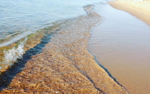 Отель Alion Затока