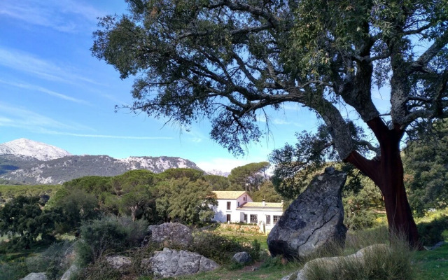 Tambor del Llano