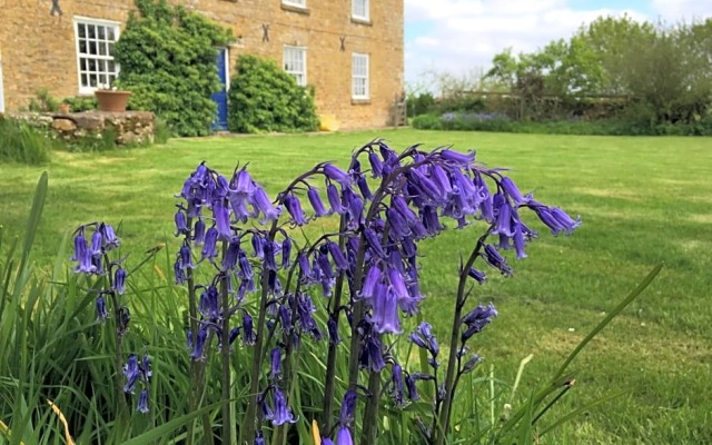 Mine Hill House