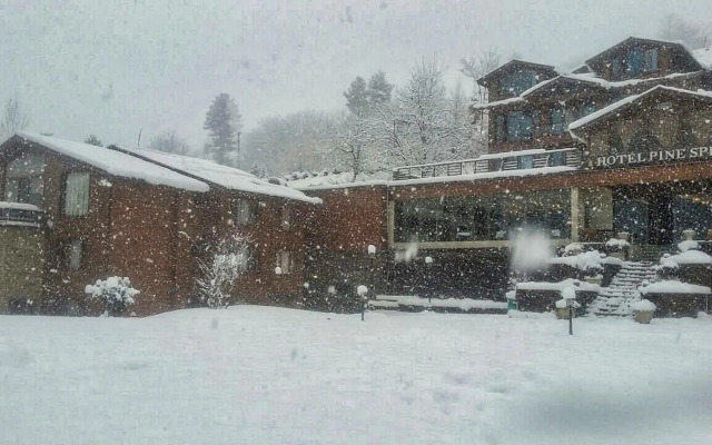 Hotel Pine Spring Pahalgam