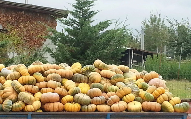 Agriturismo La Fattoria Del Boschetto