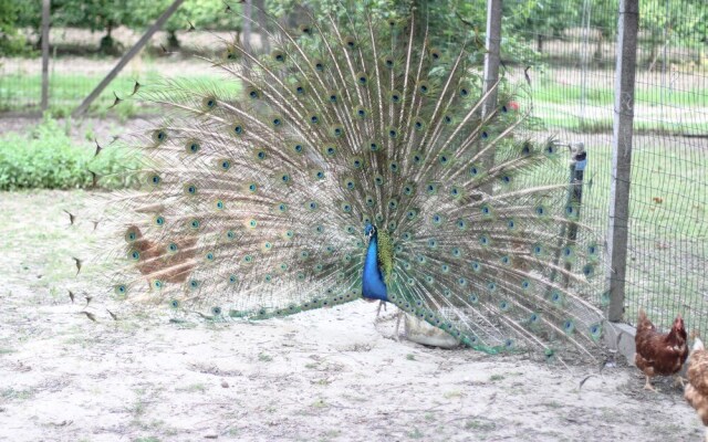 Agriturismo La Valle Dei Conti