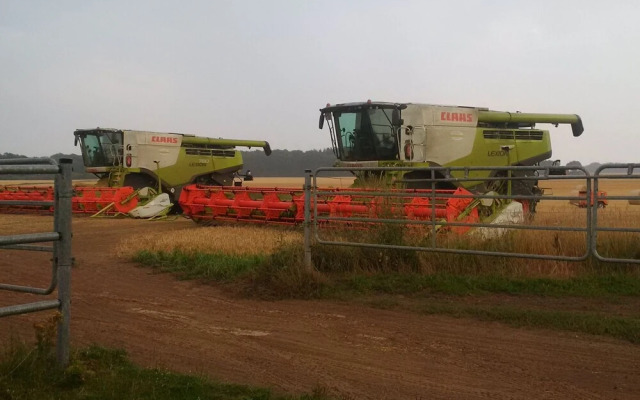 Welcoming Bungalow in Marlow With Terrace