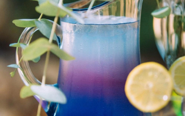 The Bohemian Guesthouse