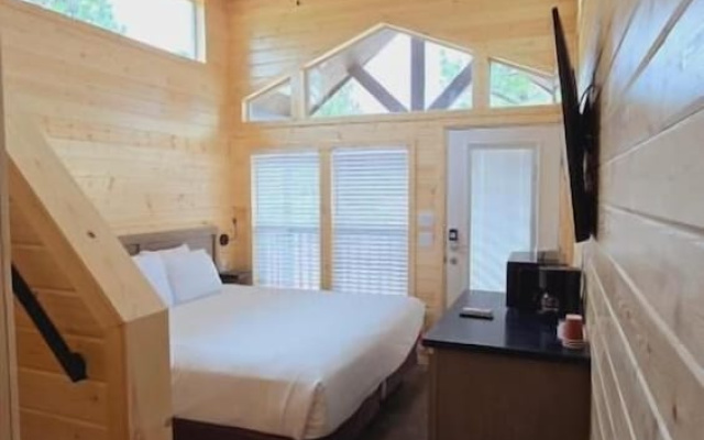 Luxury Cabin with Mountain View 3A