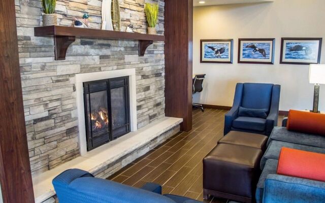 Comfort Inn & Suites Riverview