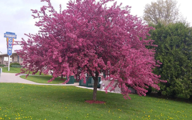 Sudbury Court Motel and RV Park